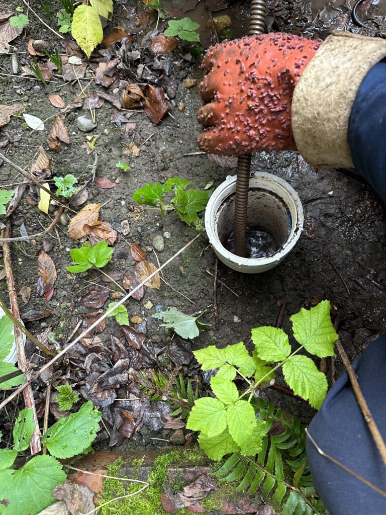 Snaking a clogged drain to remove blockages during a sewer line repair in a Seattle home.