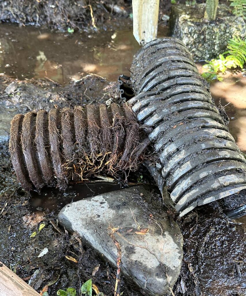 Two dirty, corrugated pipes laying in mud and water