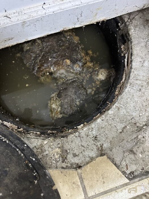 Professional plumber inspecting drain – "Expert basement plumbing inspection for odor elimination