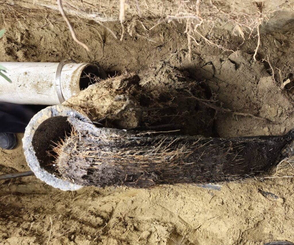 HDPE pipe installation during trenchless sewer replacement near Green Lake Park, ensuring minimal environmental impact