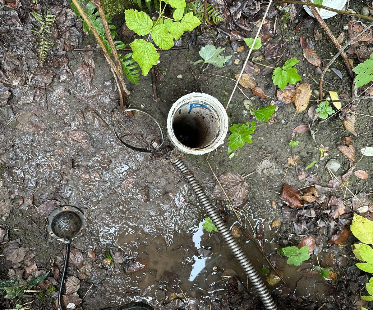 A muddy outdoor scene showing a white pipe cleanout with a plumbing snake inserted