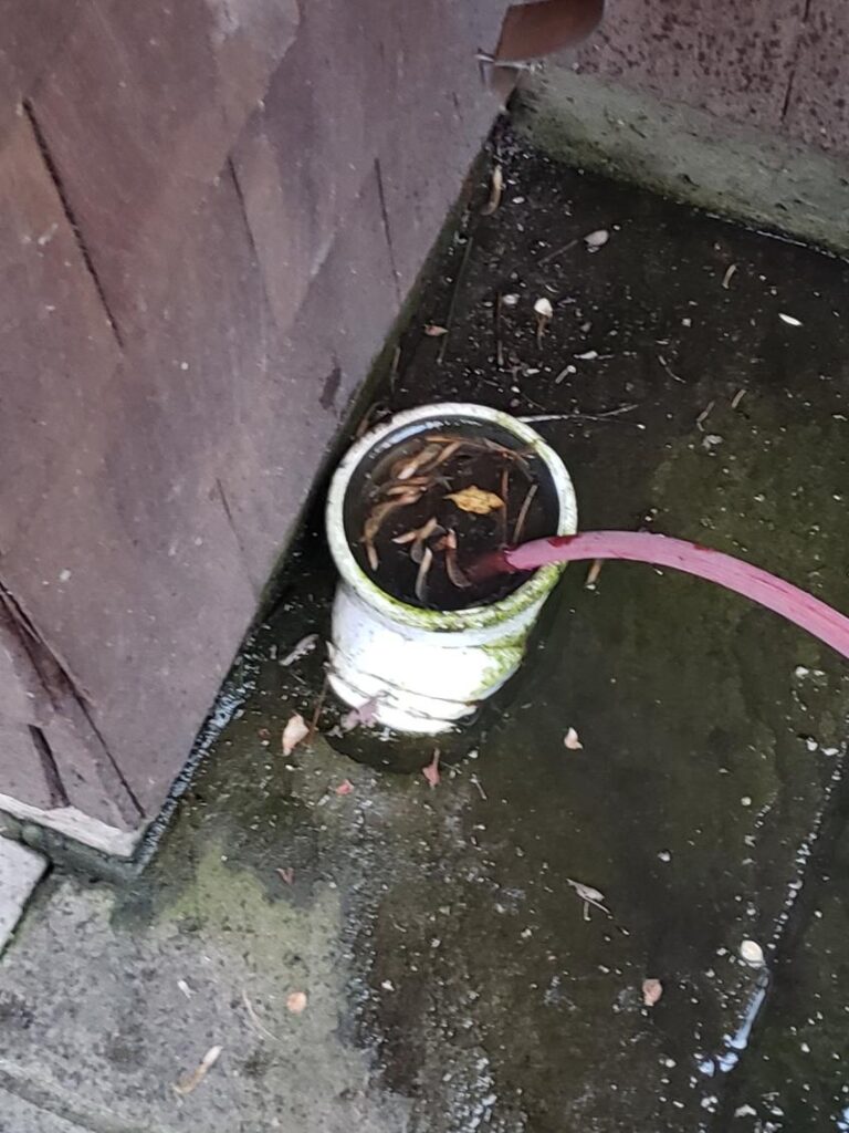 Hydro jetting equipment clearing a blocked sewer pipe with high-pressure water in a Seattle home.