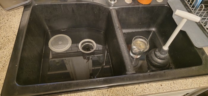 Technician applying enzyme treatment in a home drain.
