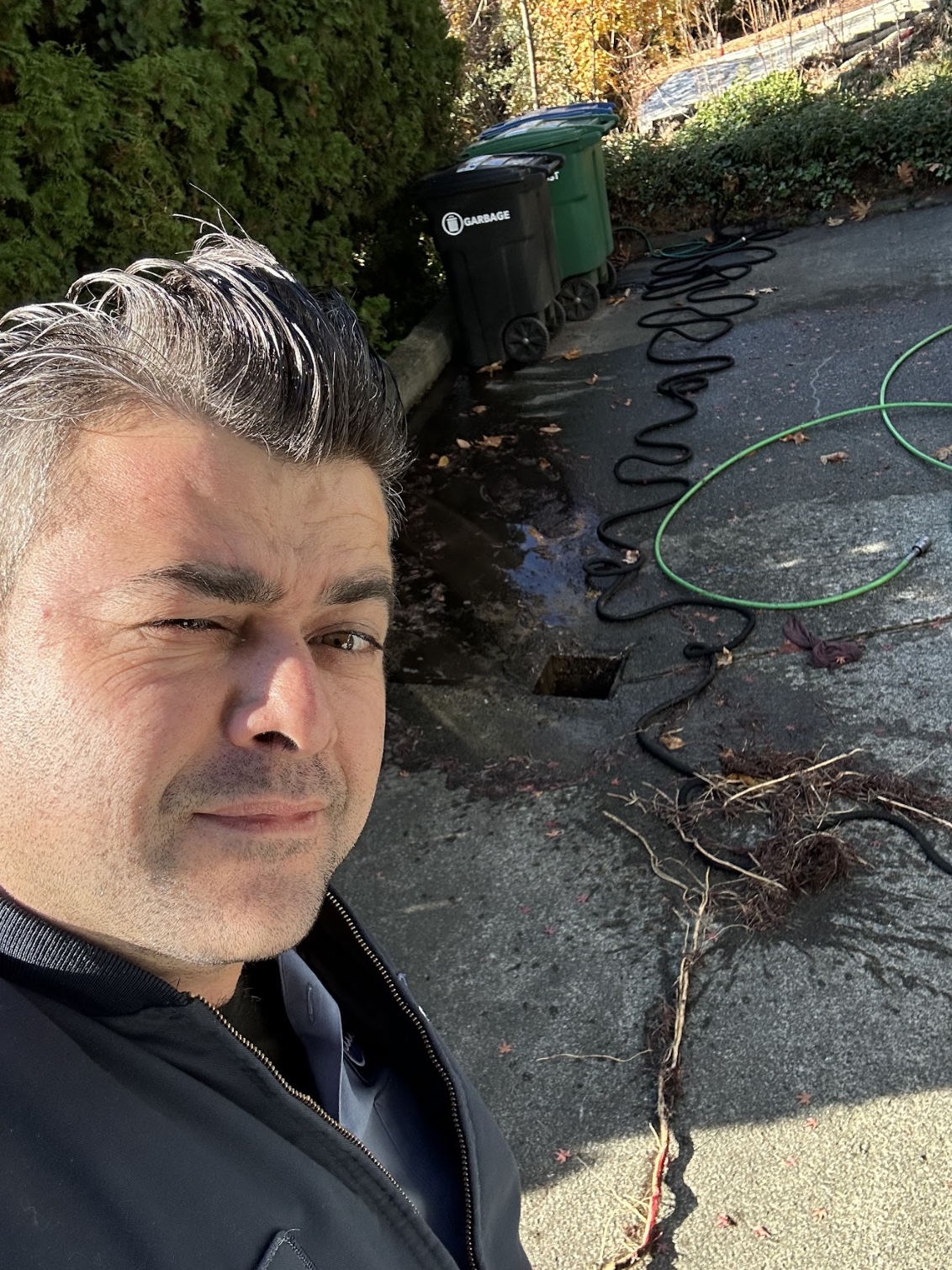 How Tree Roots Are Destroying Your Sewer System: Causes & Solutions